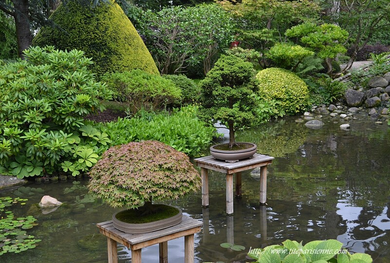 Jardins Albert Kahn : Le Jardin Japonais