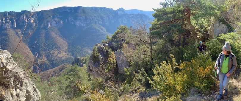 Du rosier à Eglazine