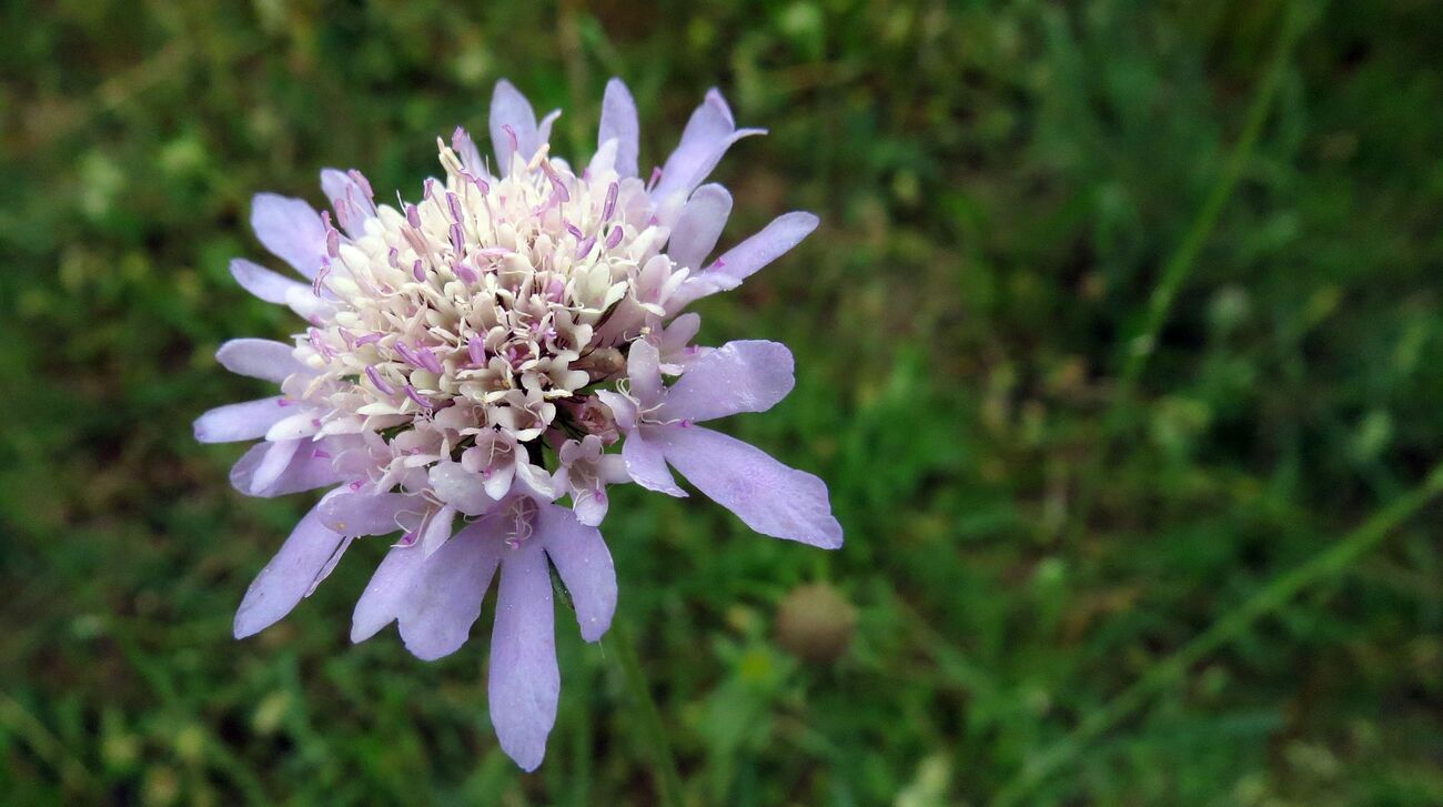 Un petit tour au jardin ce matin