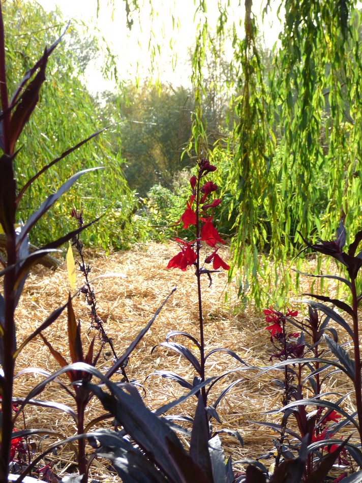 Le Jardin des Vertueux