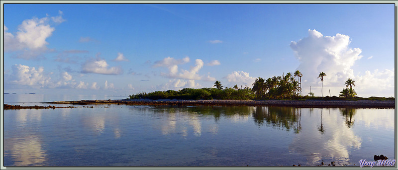 Paysage panoramique vu à partir du motu Aito Paradise au petit matin (5 h 45) - Atoll de Fakarava - Polynésie française
