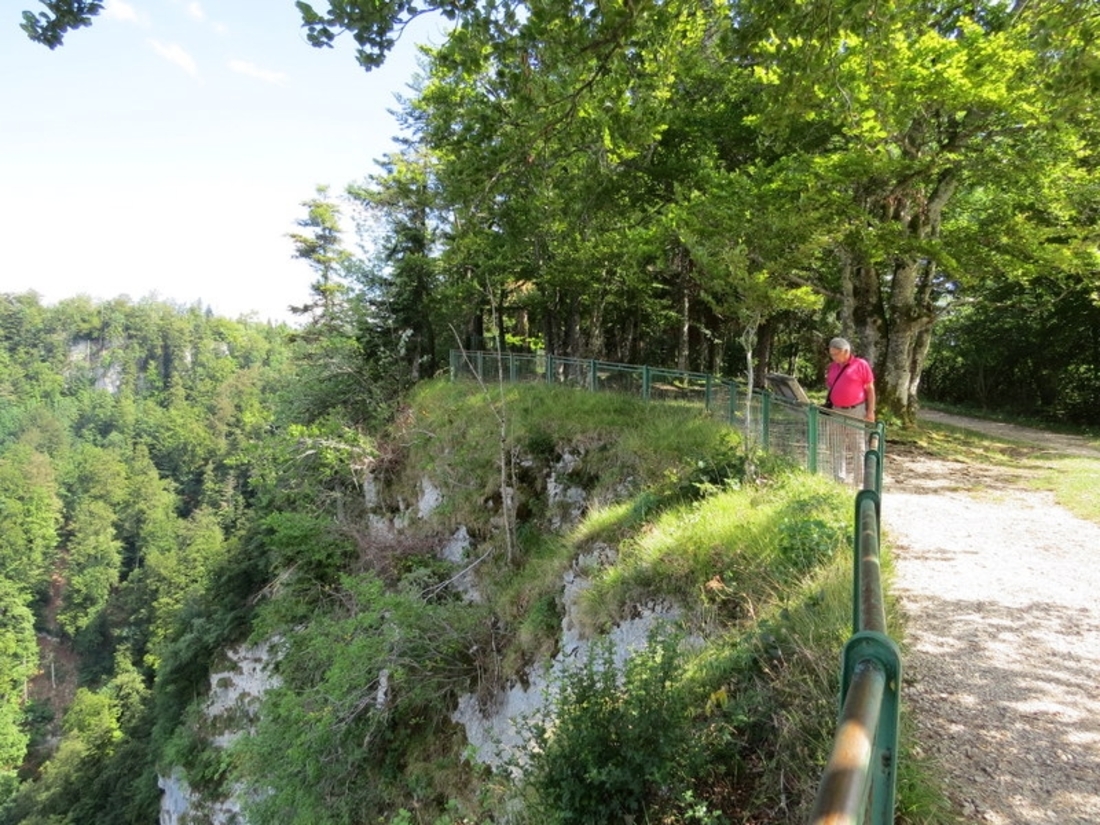 LE  PÈLERINAGE  DE  BERTILLE 