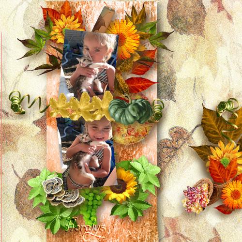Pack templates 8