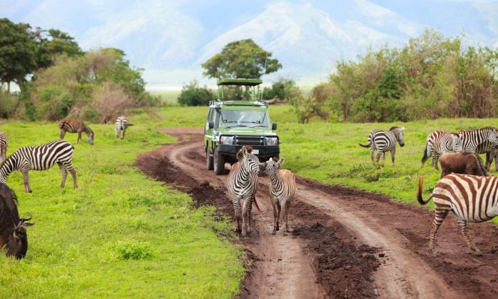 LE PARC NATIONAL DE CHOBE EST LE PREMIER PARC NATIONAL DU - BOTSWANA