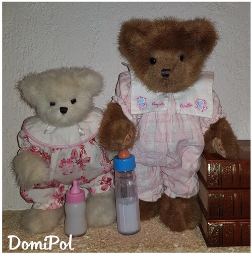 Les ours: Bearington