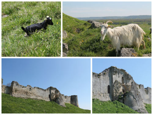 Coucy le Château, promenade autour des remparts