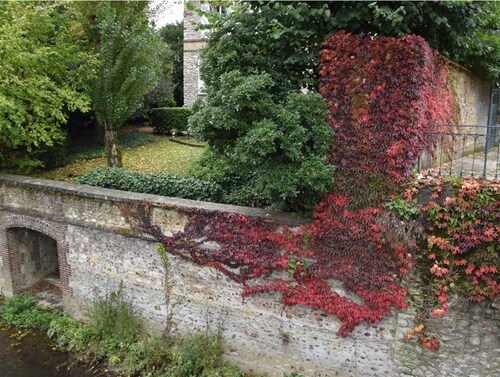 L'automne est revenu...