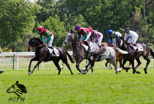 Grand Steeple Chase de Paris