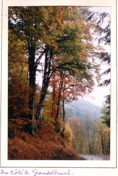 Vosges