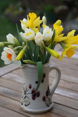 Un bouquet de jonquilles