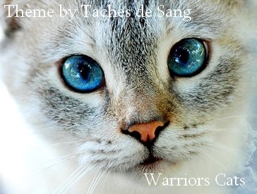 Thème : Warriors Cats