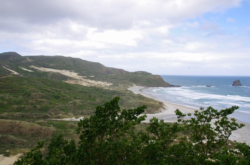 Jour 10 - Otago Peninsula