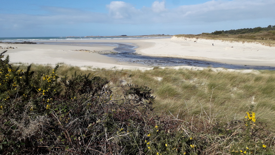  plage  en été  finistére nord 