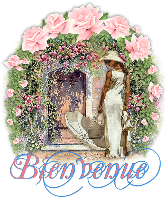 Bienvenue pour blog