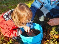 maternelle : classe dehors du 17 novembre 2022