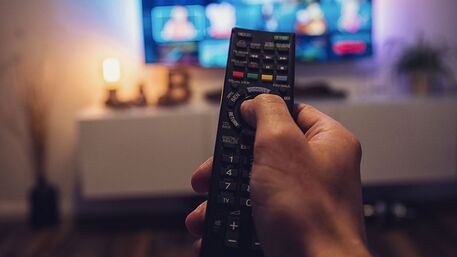 Les Français passent plus de temps devant le petit écran, moins devant les  chaînes de télévision | Les Echos