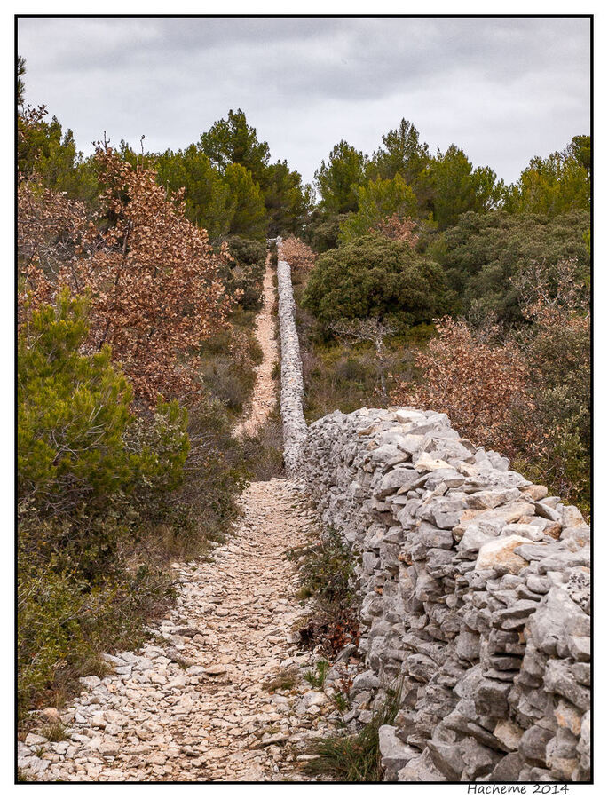 Le mur de la peste