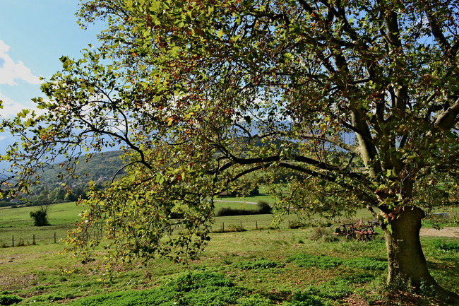 2014.10.21 Haute-Jarrie (Isère, Rhône-Alpes)