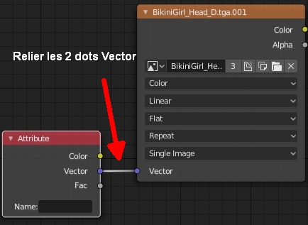 Relier le node Vector de chaque node