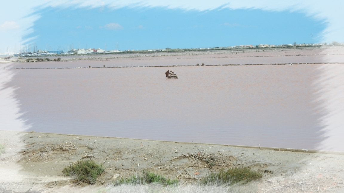 ESCAPADES EN LANGUEDOC ROUSSILLON LES SALINS DE L'ÎLE SAINT MARTIN 2