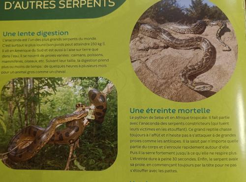 photos 7/11 serpents livres 