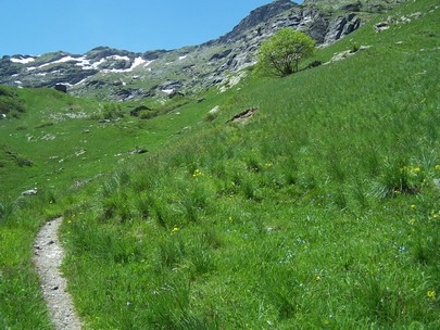 Topo Refuge de l'Arpont 