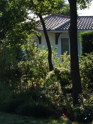 Mon jardin de lotissement, la preuve en images.