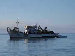 PHOTOS DE CACAIS à LISBONNE