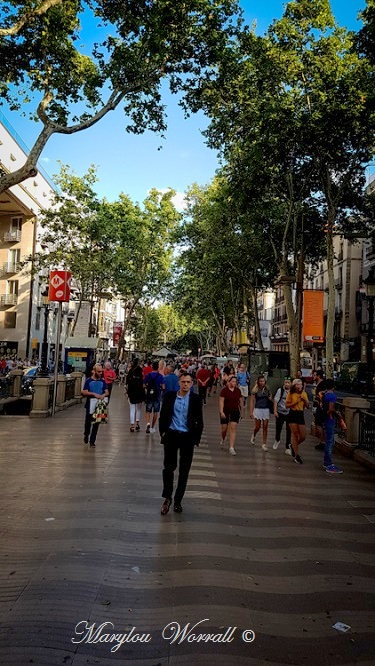 Barcelone : Pedrera, Rambla, Cathédrale etc