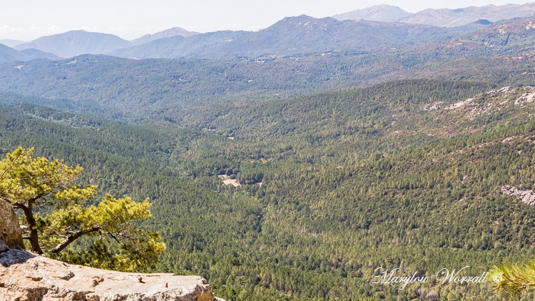 Corse : Aiguilles de Bavella 2/2