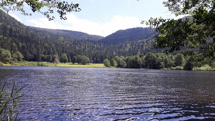 Pique-nique au lac de Retournemer