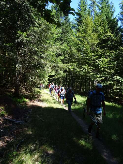 "Vosges 2022 - Après-midi du 11 juillet 2022 - Etang du Devin-Longemer"