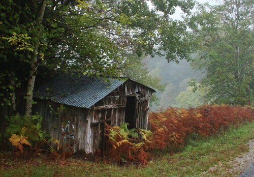 Cabane