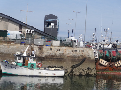 Le port du Croisic à marée basse