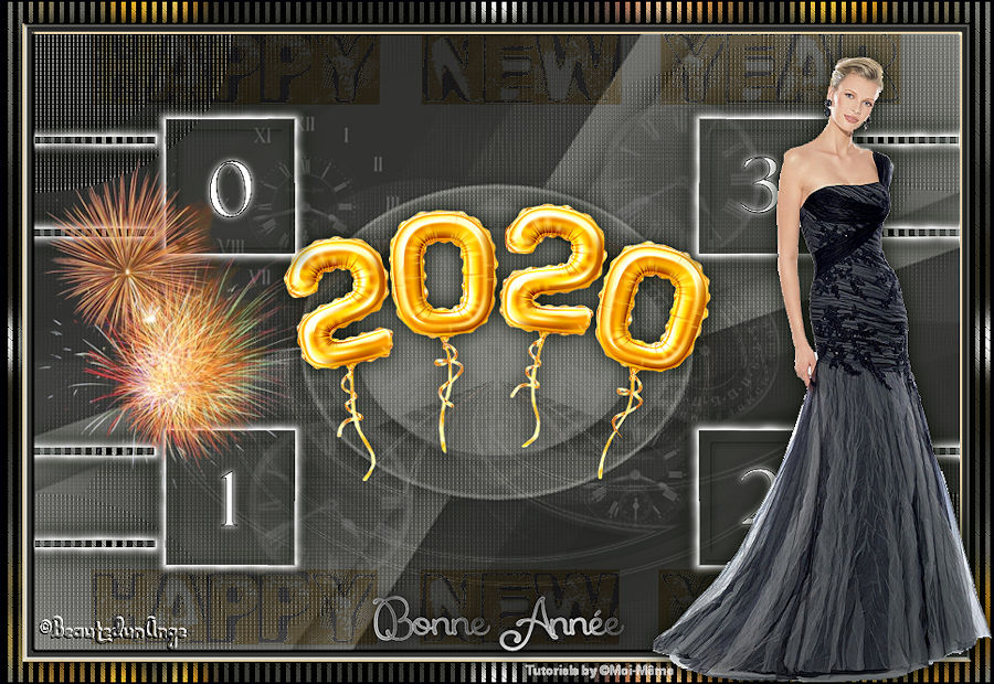 Happy New Year/ Bonne année 2020