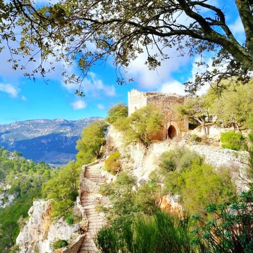 Randonnée : L’ascension du Castell D’Alaró