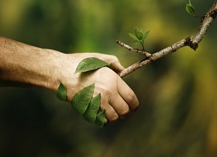 L'homme ne fait-il pas partie de la nature ? 