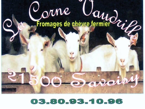 La Corne Vaudrille, un élevage caprin de Savoisy