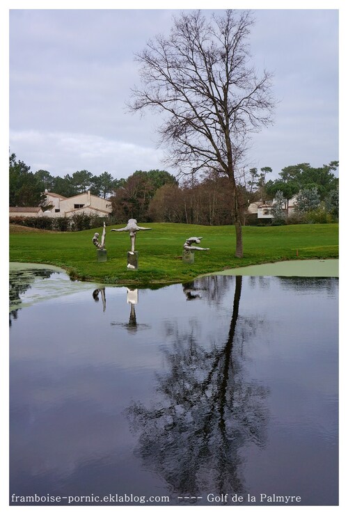 Golf de la Palmyre Charente Maritime