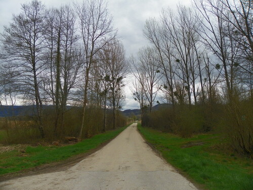 Pont entre Ceyzérieu et Lavours