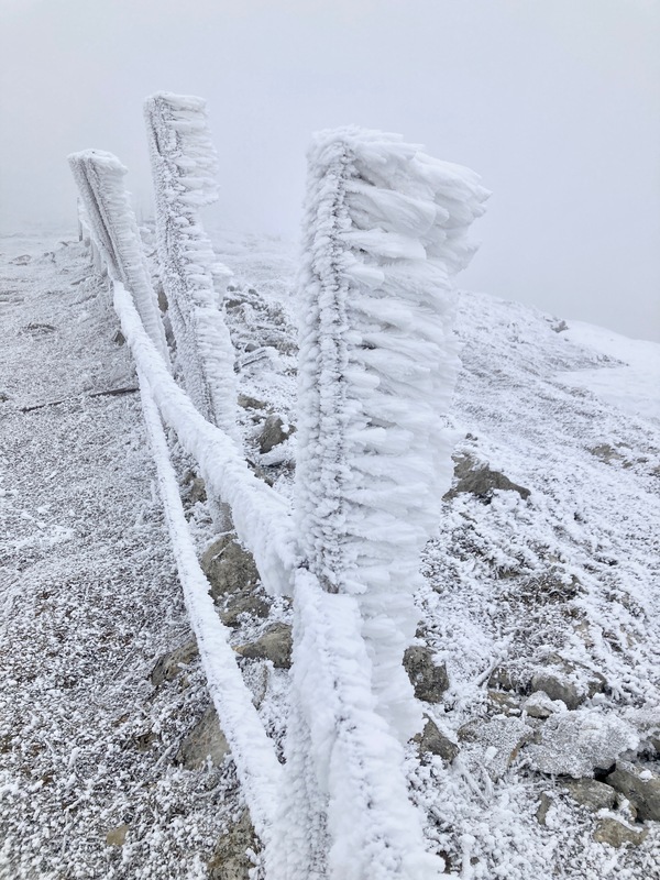 Quelques randonnées réfrigérées au Mont d'Or