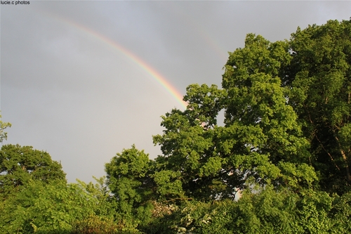 Arc en ciel