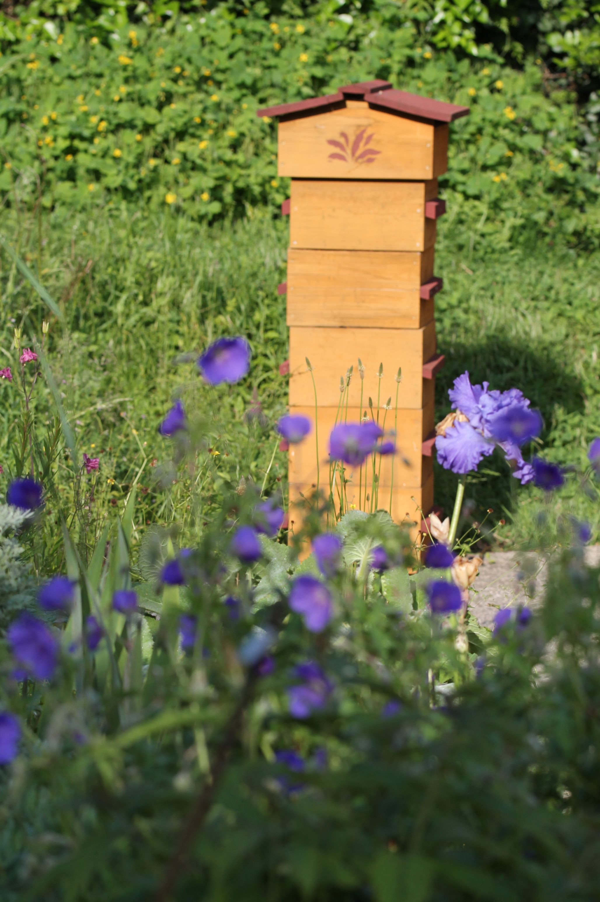 Ruche jardin des petites ruches