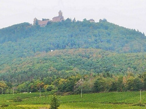 Alsace : Château du Haut Koenigsbourg 