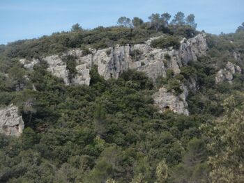 Face aux grottes préhistoriques