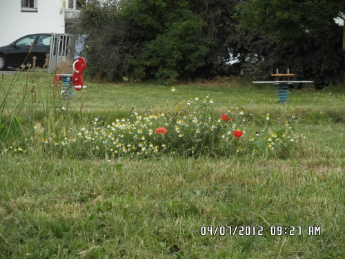 Bouquet de fleurs