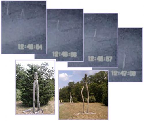 Les marcheurs de la nuit