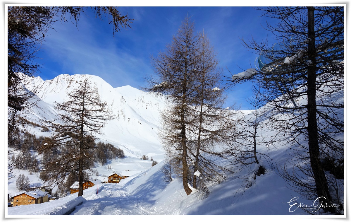 Neige de février