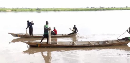 TCHAD #Cameroun : Conflit entre pêcheurs tchadiens et camerounais sur le  fleuve Logone. (Voir Vidéo) - Le Tchadanthropus-tribune