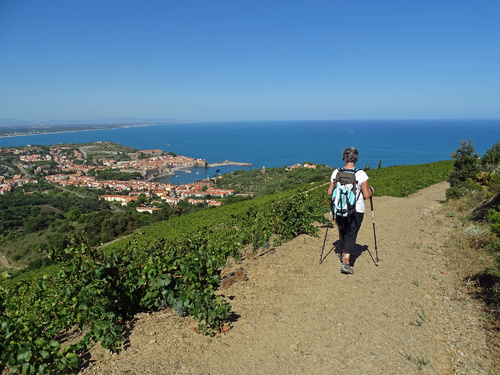 Le Sentier pédestre sur les hauteurs de Collioure depuis Collioure